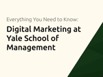 Digital Marketing at Yale School of Management: Everything You Need to Know